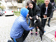 Balkonda K&ouml;peğini D&ouml;ven Kişi G&ouml;zaltına Alındı