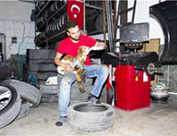 Biberonla Beslenen Oğlak