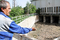 Beyşehir G&ouml;l&uuml;'nde Toplu Balık &Ouml;l&uuml;mleri