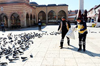 Kastamonu Belediyesi Kuşlara Sahip &Ccedil;ıktı