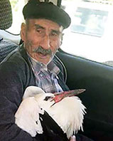Yaralı Leyleğe Yardım Eden Salih Dede