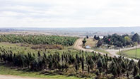 Kavacık K&ouml;y&uuml;