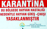 Şarbon Paniği