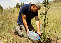 Binlerce Fidan Diken Mustafa G&ouml;&ccedil;er