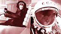 Deney İçin Uzaya Gönderilen Hayvanlar-1