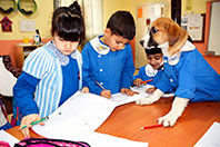 Fındık K&ouml;pek Okula Başladı