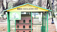 Gaziantep Kedi Besleme Evi