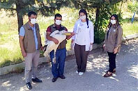 U&ccedil;amaz Hale Gelen Pelikan Tedavi Altında