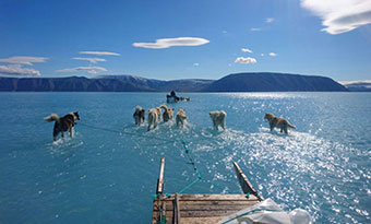 Grönland'da Eriyen Buzullar