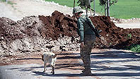 Leylak Buldu