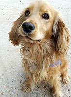 &Ccedil;akıl İ&ccedil;in Baro Devrede