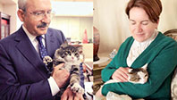 Kemal Kılıçdaroğlu - Meral Akşener