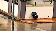 Şemsiyesiyle Sokak Köpeğini Yağmurdan Korudu