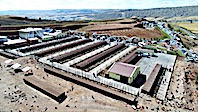 Sivas'ta Hayvan Oteli