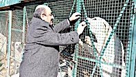 Akbaş Köpeği