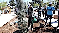 Diyarbakır Engelsiz Yaşam Parkı