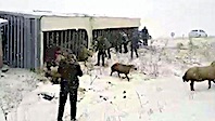 Feci Kaza