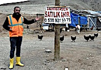 Sahibinden Satılık Ahır