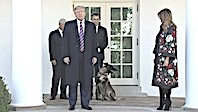 Trump'tan K&ouml;peğe Madalya