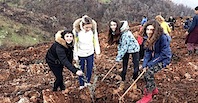 Zeytink&ouml;y'de Ağa&ccedil; Diken Y&ouml;nelt Koleji &Ouml;ğrencileri