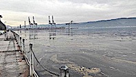 Kocaeli Körfezine Kimyasal Yayıldı