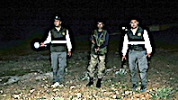 Da&uuml; Ceylanları İ&ccedil;in Doğum N&ouml;beti