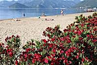 Marmaris Belediyesi'ne &Ouml;d&uuml;l