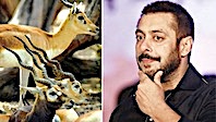 Salman Khan'a Hapis Cezası