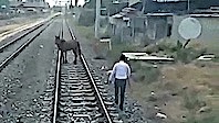 Treni Durdurup Ray Üzerindeki Atı Kenara Çeken Makinist