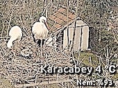 Karacabey